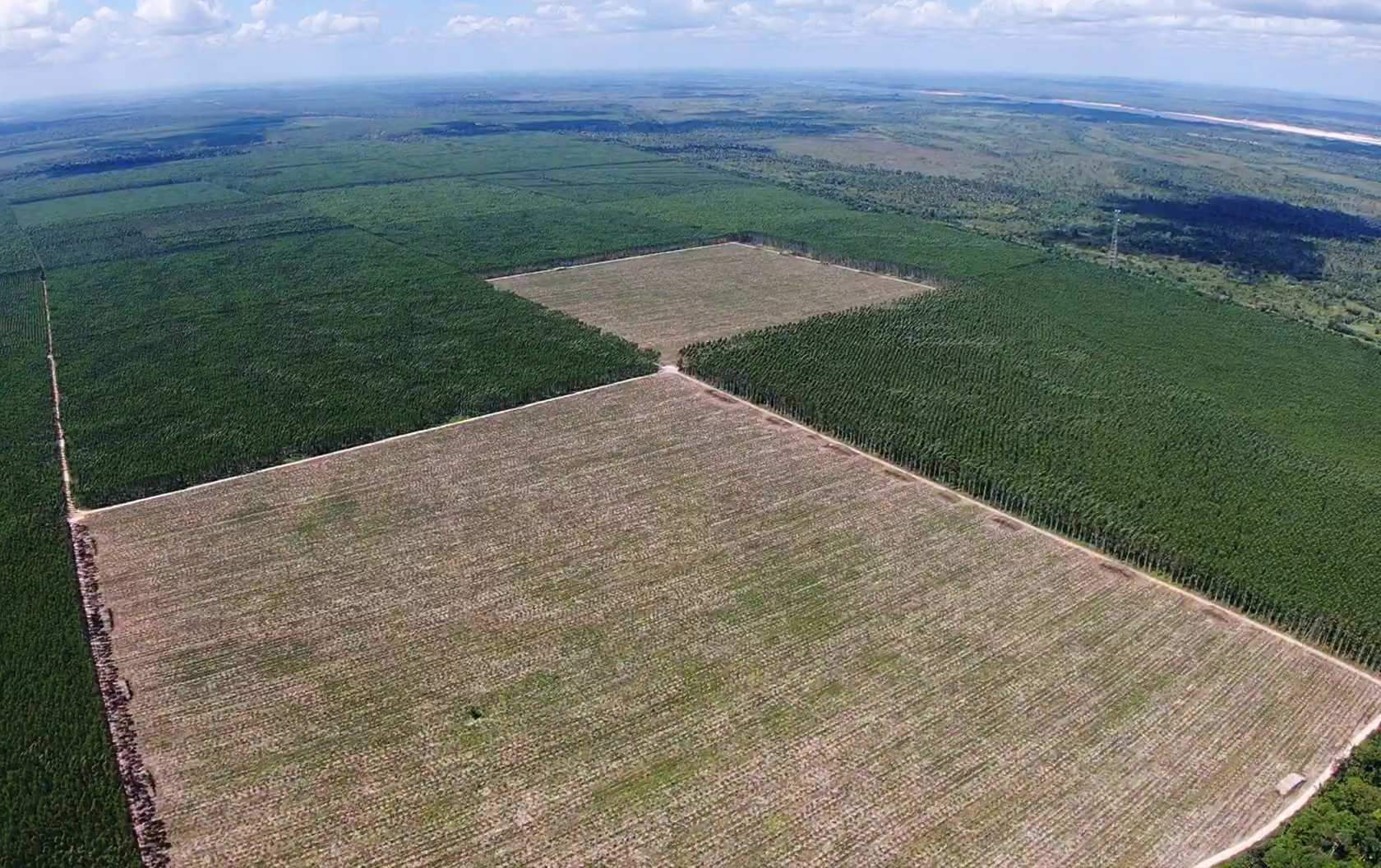 Imagem editorial provisória sobre planejamento integrado de uma operação florestal